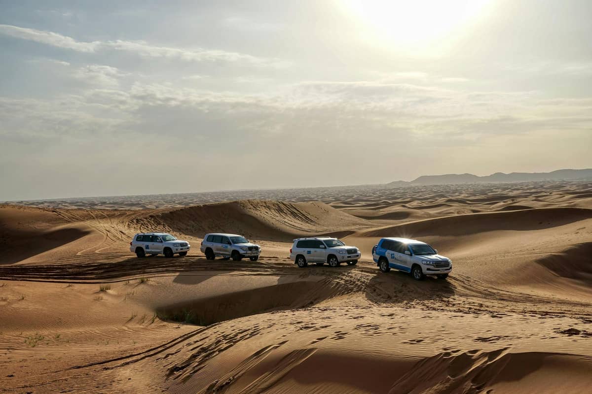 Desert Safari & Dune Bashing